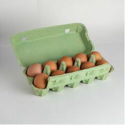 olas-brunas-am-ginkunu-pauktynas-n2-10gab