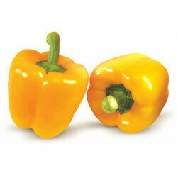 paprika-dzeltena-california-sver