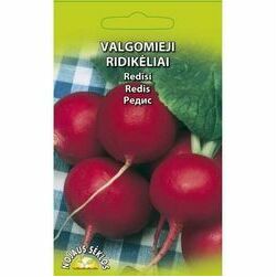seklas-redisi-5g