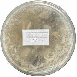 silku-filejas-gabalini-etika-merce-sverami-kaltenes-zivis