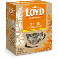 teja-loyd-lovers-ginger-and-citrus-fruit-20x2g