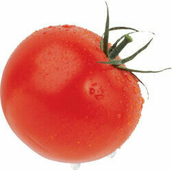 tomati-avenu-sverami